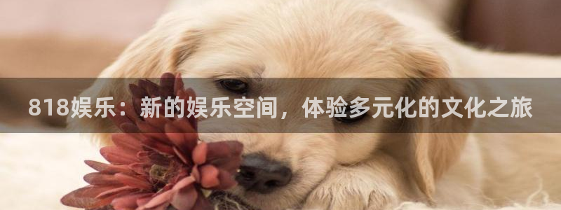 星亿娱乐注册